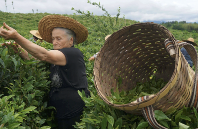 <div class='presseshape'>House of Coco</div>